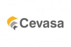 Cevasa